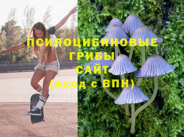мескалин Балахна