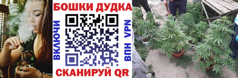 где купить наркоту  Гатчина  Марихуана конопля 